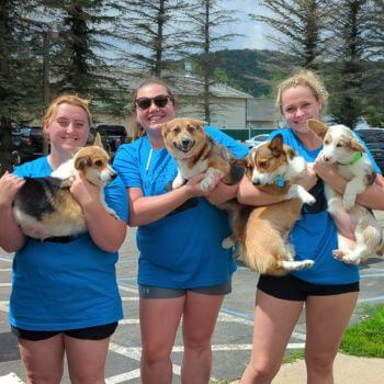 three vets hold dogs in hand